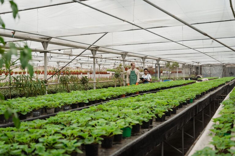 Tips for Creating a Sustainable Home Garden Throughout the Year